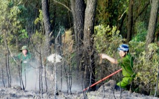 Cháy rừng thông ở khu di tích Ngã Ba Đồng Lộc