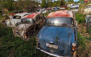 1.000 ô tô cổ bị bỏ quên trong rừng