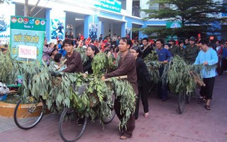 Diễu hành “Âm vang Điện Biên”