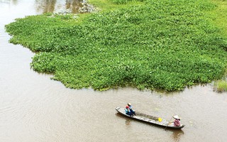 Nhớ tiếng gọi đò