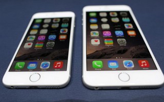 20 iPhone 6 trên 500 triệu đồng chưa kịp bán đã bị bắt