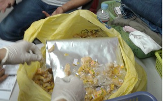 Bắt giữ người Singapore giấu 2,89 kg ma túy trong vỏ đậu phộng