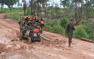 Gần 70 lâm tặc vây đánh bảo vệ rừng, cướp tài sản