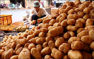 Nông sản Trung Quốc vẫn tràn ngập thị trường