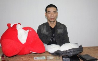 Giấu 1.500 gram ma túy đá trong thú bông mang từ Trung Quốc về