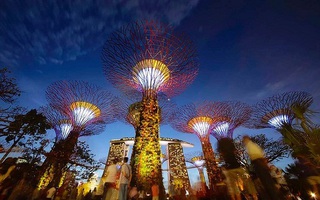 Cùng Saigontourist trải nghiệm Singapore theo cách riêng