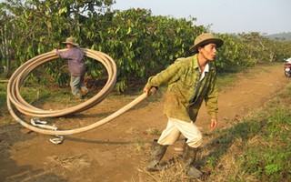 Tranh giành nước tưới cà phê, cháu đánh dượng tử vong