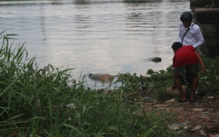 Phát hiện thi thể nam giới trên sông Sài Gòn