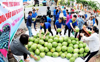 Chuyện dưa, hành qua báo cáo Bộ Công Thương