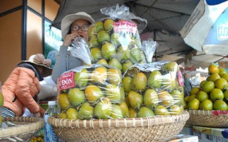 Hồng Trung Quốc ‘giết’ hồng Đà Lạt