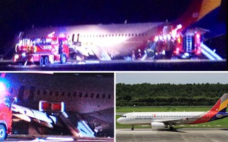 Nhật Bản: Máy bay trượt đường băng, 23 người bị thương