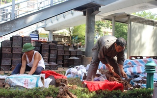 Hà Nội: Phát hiện gần 200 hài cốt trước Trường ĐH Công Đoàn