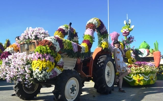 Hình ảnh hấp dẫn, độc đáo ở Festival hoa Đà Lạt