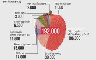 Vải thiều Việt Nam khó cạnh tranh với Trung Quốc trên đất Mỹ