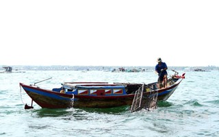 Độc đáo nghề bẫy mực "làm chơi ăn thiệt" trên vịnh Cam Ranh