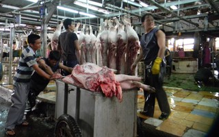 TPP: Cửa nào cho ngành chăn nuôi?