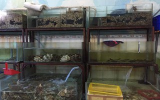 Xó xỉnh Sài Gòn: Bán nước… biển xa và gần