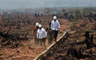 Indonesia cầu cứu, Malaysia điều máy bay sang dập lửa