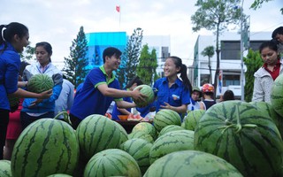 Vì sao siêu thị không bán dưa hấu giúp nông dân miền Trung?