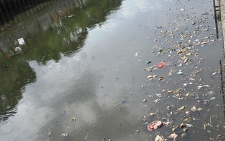 Cá ngộp thở nổi đầy kênh Nhiêu Lộc - Thị Nghè