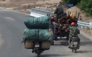 Một thanh niên tử vong khi chạy trốn kiểm lâm