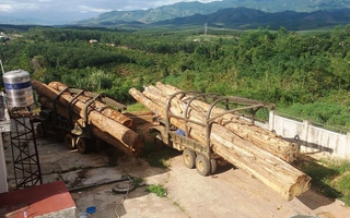 Xe tang vật vụ buôn lậu gỗ khủng "bay" sang Lào