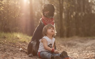 Sốt những bức ảnh siêu dễ thương giữa bé và chó