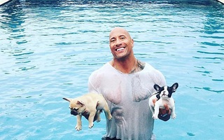 Tài tử “The Rock” quyên tiền cứu chó