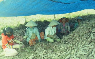 Thương lái 'lộng hành' ở Việt Nam, Trung Quốc nói gì?