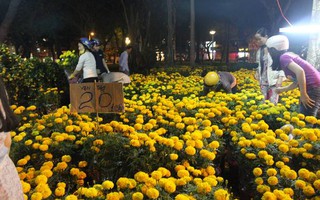 Đêm cuối chợ hoa Tết: Đồng loạt đại hạ giá