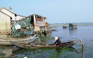 Đầm Ô Loan “hấp hối”