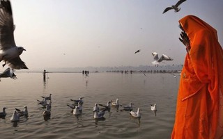 Ấn Độ: Hơn 100 thi thể nổi trên sông Hằng