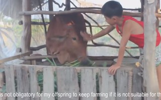 Phim của nông dân Việt vào chung kết toàn cầu