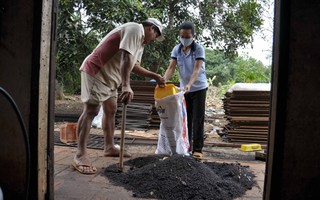 Chịu hết nổi muỗi, bọ đậu đen