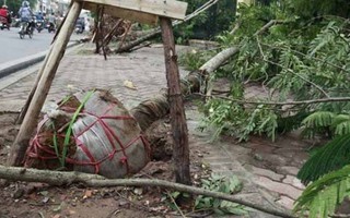 Cẩu thả thành thói quen