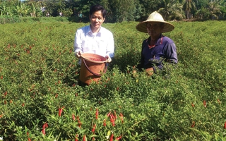 Ngân hàng mở hầu bao cho vay nông nghiệp