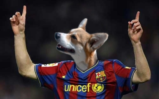 "Messi là một chú chó biết đá bóng”