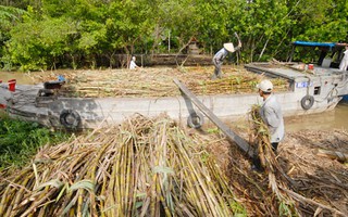 Tìm thị trường “ngách” trong hội nhập