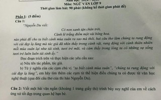 Đề thi văn "gài bẫy": Học vẹt mới nhầm?!