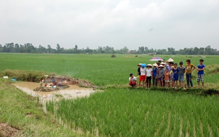 Mải làm việc, bị sét đánh chết trên đồng