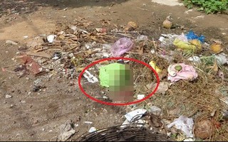 Đau lòng thai nhi chết trong đống rác
