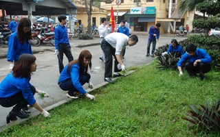 Học tập Bác tính trung thực