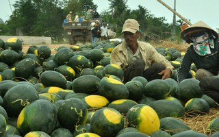 Nhờ thanh niên, công đoàn tiêu thụ dưa hấu, hành tím thì bất ổn quá