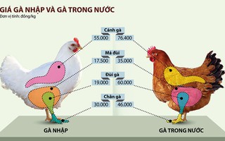 Gà Việt khủng hoảng với đùi gà Mỹ rẻ như rau