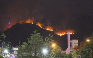 Khởi tố người đốt nhang gây cháy 20 ha rừng trên núi Bà Hỏa