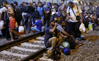 Croatia, Slovenia quay lưng với dân di cư