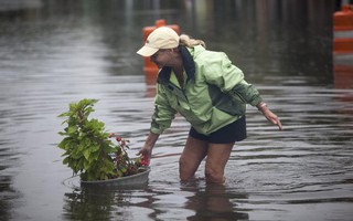 Mỹ: "Mưa lớn nhất 1.000 năm qua ở South Carolina"