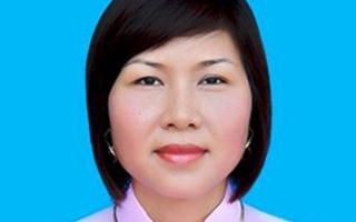 Nữ tỉ phú, đại biểu HĐND tỉnh Thái Bình bị khởi tố