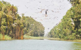 Láng Sen trở thành Khu Ramsar của thế giới!