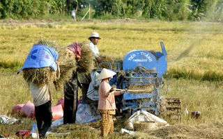 Mặn sẽ xâm nhập sớm và sâu ở ĐBSCL